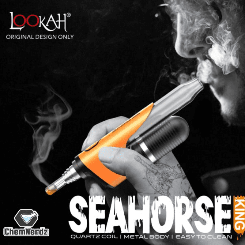 SEAHORSEKINGKIT1CT BLUE 810134120341